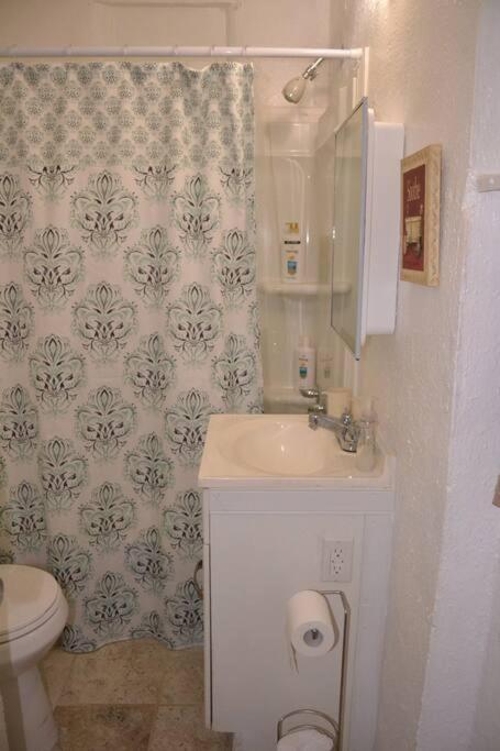 Bright And Cozy Lighthouse Cottage In Greenville Sc Екстериор снимка